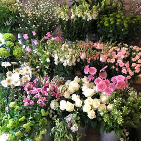 selection of pink, white and green flowers