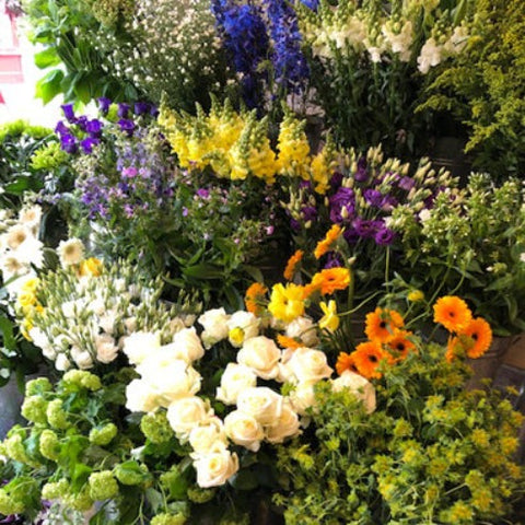 selection of yellow, purple and white flowers